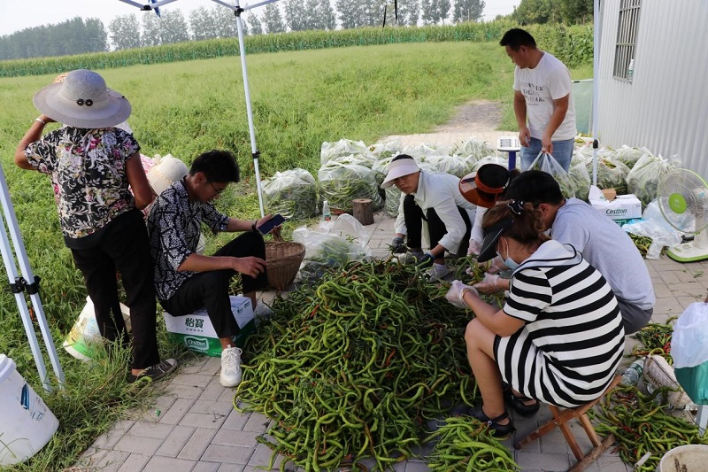 拉菲国际·(中国游)官方网站