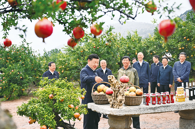 拉菲国际·(中国游)官方网站