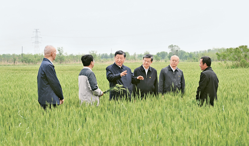 2023年5月11日至12日，，，，，中共中央总书记、国家主席、中央军委主席习近平在河北考察，，，，，并主持召开深入推进京津冀协同发展座谈会。。。。。。。这是11日上午，，，，，习近平在沧州市黄骅市旧城镇仙庄片区旱碱地麦田考察时，，，，，同种植户、农技专家亲切交流。。。。。。。 新华社记者 李学仁/摄