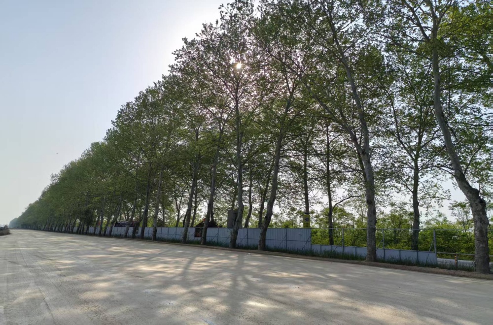 拉菲国际·(中国游)官方网站