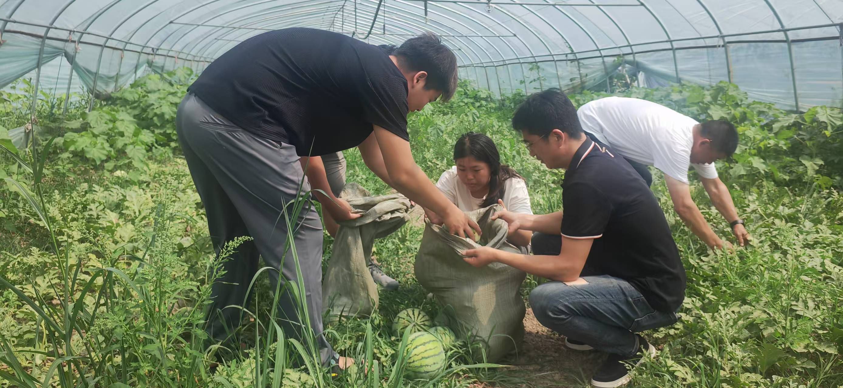 拉菲国际·(中国游)官方网站